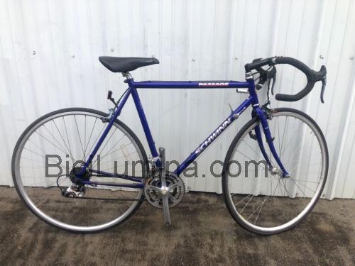 Schwinn Passage opinión y ficha técnica